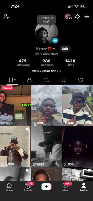 A TikTok profile page for 'Kruz 🇨🇿' (@kruzbuilds01) displaying 986 followers, 14.1K likes, and a bio reading 'web3 Chad tho<3' with a grid of video thumbnails below.