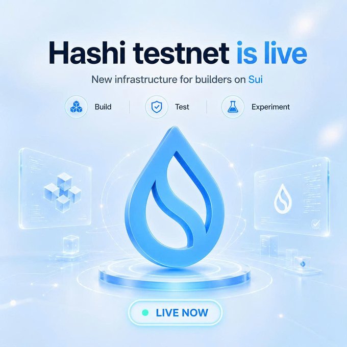 A promotional graphic announcing 'Hashi testnet is live' as new infrastructure for builders on Sui, featuring icons for Build, Test, and Experiment, with a central blue water drop logo and a 'LIVE NOW' badge.
