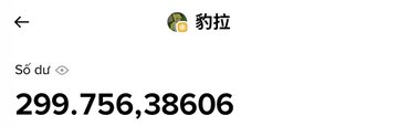 A screenshot showing Alipay payment information with the number '299,756,38606' and 'Số dư' (balance in Vietnamese).