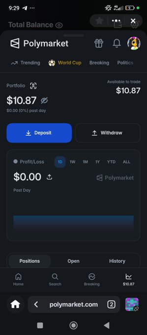 A screenshot of the Polymarket trading app showing a $10.87 total balance and $10.87 available to trade, with a $0.00 Profit/Loss for the day and an empty portfolio. The minimal balance and no active positions visually support the post's joke about whether "Chi" will lose their funds trading on the platform.