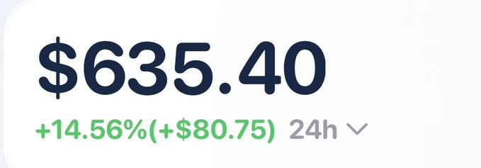 A digital display shows a price of '$635.40' with a green gain of '+14.56% (+$80.75)' over '24h'.