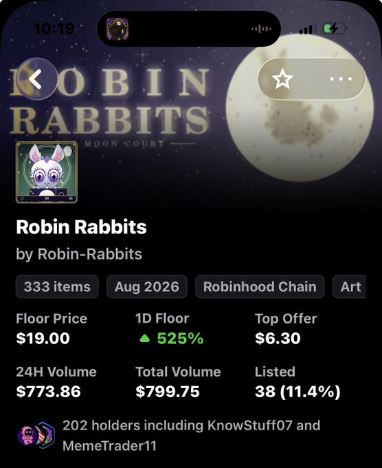 An NFT collection page for 'Robin Rabbits' by Robin-Rabbits, showing 333 items, Aug 2026, Robinhood Chain, Art category, with a floor price of $19.00 and 1D floor up 525%.