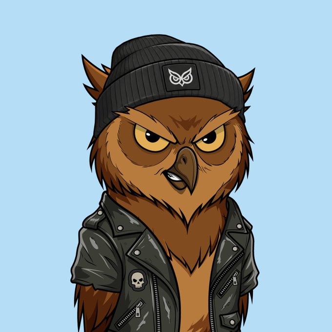 A digital cartoon illustration of an angry-looking brown owl wearing a black beanie with an owl logo and a black leather biker jacket with a skull pin.