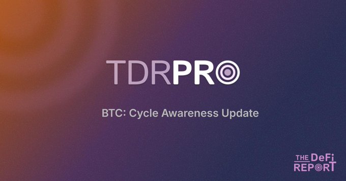 A purple and red gradient graphic displays "TDRPRO" with the subtitle "BTC: Cycle Awareness Update" and "THE DeFi REPORT" logo in the bottom right corner.
