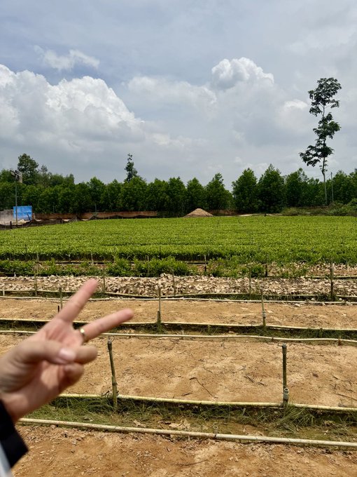 A hand makes a peace sign in the foreground, with a green field, bamboo fencing, and trees in the background under a cloudy sky.