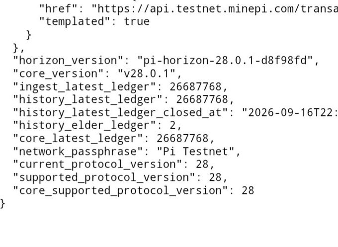 A snippet of code or JSON data showing network information including 'horizon_version: pi-horizon-28.0.1-d8f98fd', 'core_version: v28.0.1', and 'network_passphrase: Pi Testnet'.