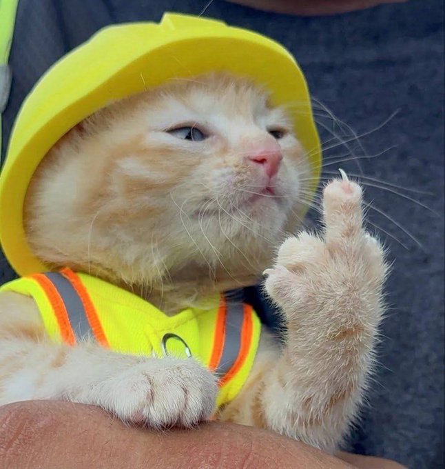 An orange tabby kitten wearing a yellow construction hard hat and high-visibility safety vest holds up its paw in a confident gesture, fitting the bullish crypto meme theme of a coming "glorious reversal" for bottom sellers, accompanied by the contract address "0x2ab8a4dd2191989ac2898006df350b236d2b7777."