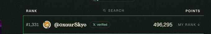 A leaderboard screenshot showing rank '#1,331 @oxourSkyo (X verified)' with 496,295 points.