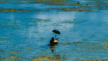 A solitary waterbird stands in a vibrant turquoise pond dotted with floating vegetation.