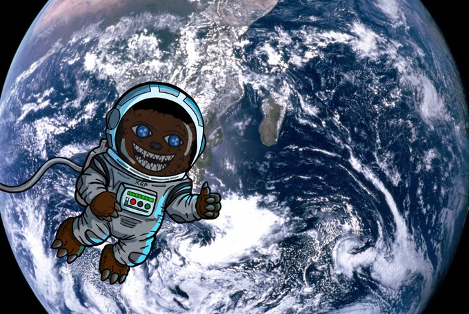 A digital illustration of a cartoon character resembling a sloth or bear with a wide, toothy grin, wearing a space suit and giving a thumbs-up while floating above Earth.