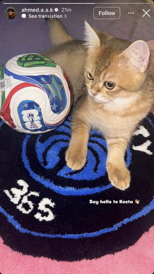 The image features a small brown kitten lying down next to a soccer ball, which has a white and blue design with red and green accents. The background of the photo appears to be pink or purple, possibly indicating that the photo was taken indoors. There is also text in the image that reads "Dude pay attention…. $KTA going to top 50 minimum". This suggests that there might be an event related to soccer taking place, such as a fundraiser or a special edition release of the soccer ball featured in the image.