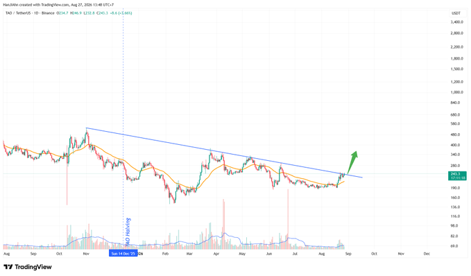 A TradingView chart of TAO/USDT on Binance shows a daily price breakout above a descending triangle pattern, with the current price at 263.5 and an arrow indicating projected upward momentum. The annotation "Hãy chú ý" (Vietnamese for "Pay attention") marks the breakout point, reinforcing the post's call to watch this $TAO ticker.