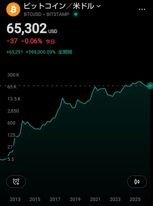 Bitcoin price tracker app in Japanese showing BTCUSD price of $65,302 (down -0.06% today) on Bitstamp, with a long-term logarithmic chart spanning from 2013 to 2025.