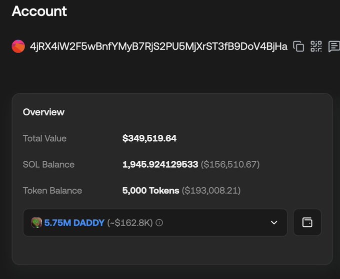 A cryptocurrency account overview screen showing a wallet address, Total Value of $349,519.64, SOL balance of 1,945.92 (~$156,510.67), and 5,000 Tokens (~$193,008.21) labeled 5.75M DADDY.