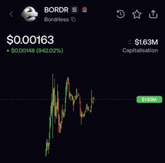 A price chart for the BORDR token on Bordress, priced at $0.00163 with a $1.63M market capitalization, showing an 8.88M line.