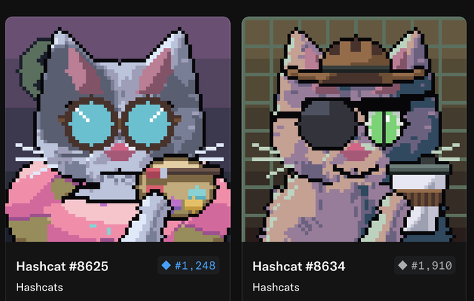Two pixel-art NFT profile pictures of cats labeled 'Hashcat #8625' (priced at #1,248) and 'Hashcat #8634' (priced at #1,910) from the Hashcats collection.