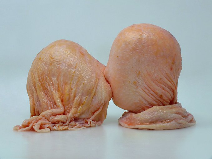 Two raw, pale pink, textured biological specimens, appearing to be testicles, rest on a white surface.