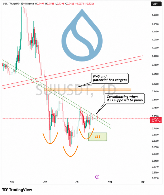 A TradingView daily chart of SUI/USDT on Binance shows the price consolidating around $0.7426 near a green trendline support, with annotations highlighting an "FVG and potential hns targets" zone near $0.85, "$$$" bottoms marking a triple-bottom reversal pattern, and a note that "Consolidating when it is supposed to pump" — supporting the post's claim of an imminent breakout toward $0.85.