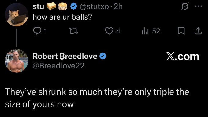 A X.com post exchange where user @stutxo asks 'how are ur balls?' and Robert Breedlove (@Breedlove22) replies with an image of his torso, joking 'They've shrunk so much they're only triple the size of yours now.'