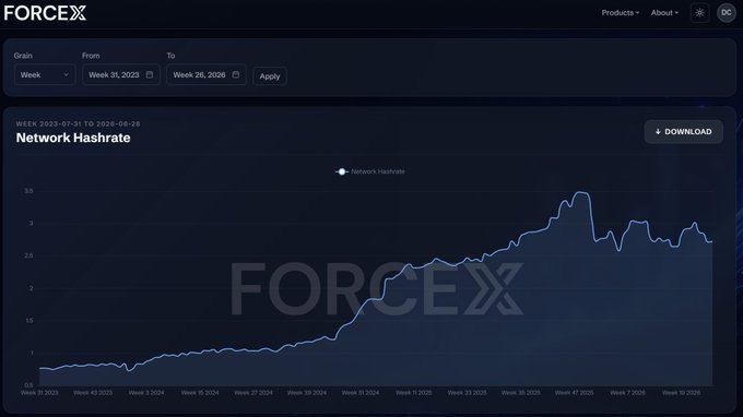 A Forcex dashboard displays a Network Hashrate chart tracking weekly data from Week 31, 2023 to Week 26, 2026, showing the Litecoin network's hashrate growth from approximately 0.75 PH/s to peaks around 3.5 PH/s, with a current reading of about 2.7 PH/s—illustrating the significant increase in mining activity since the August 2023 halving that reduced block rewards from 12.5 to 6.25 LTC.