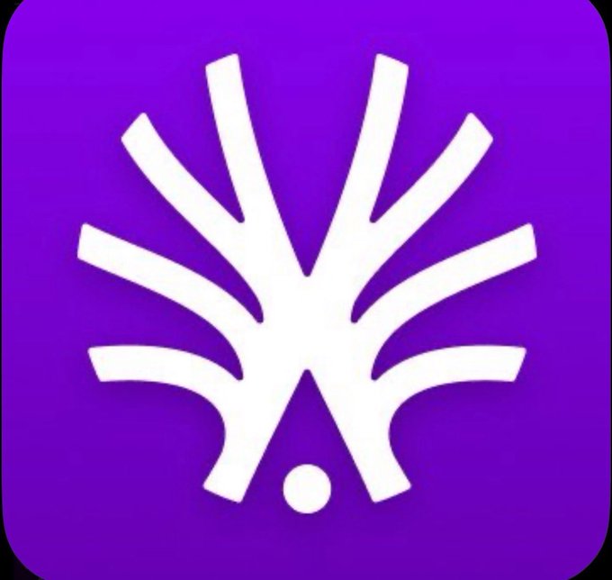 A purple square logo featuring a stylized white tree-like or hand-shaped emblem with radiating branches and a small dot at the base.