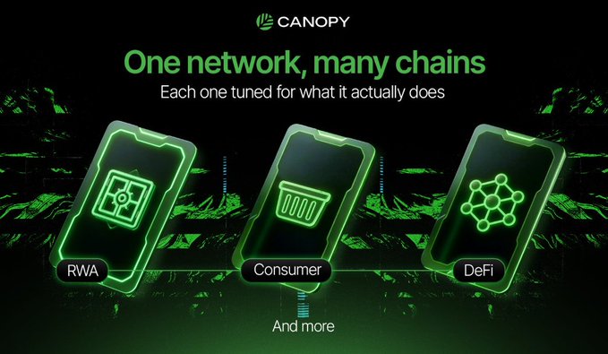 Canopy promotional graphic stating "One network, many chains" with three phones illustrating RWA, Consumer, and DeFi chains.