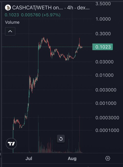 A cryptocurrency price chart for CASHCAT/WETH showing the price at 0.1023 with a 5.97% increase, displaying price movement from July to August.