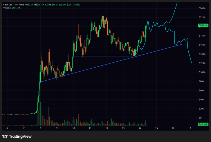 A TradingView chart displays "Cash Cat - 1h - forno" with price moving from around $20M to $240M between days 6-17, featuring candlestick patterns, volume bars, a cyan curved line, and blue ascending trendline support near $140M. The chart visualizes the post's commentary on the $CASHCAT token's potential price zones for ranging, blasting higher, or retracing.