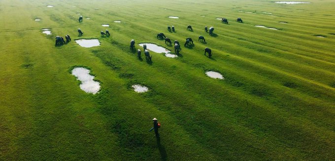 Aerial view of a lush green landscape with scattered puddles of water, where a group of people (appearing to be farmers or villagers) are gathered in the grass.