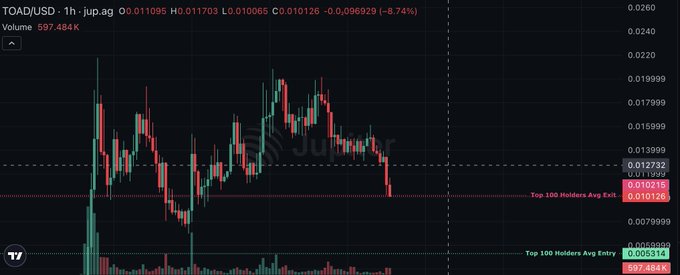 A 1-hour candlestick chart for the TOAD/USD pair shows a sharp decline, currently down 6.74% at $0.010126 (O: $0.011095, H: $0.01703, L: $0.010065), with a white annotation line marking the "Top 100 Holders Avg Cost" at $0.010733—aligning with the post's claim that it's a steal at current prices.