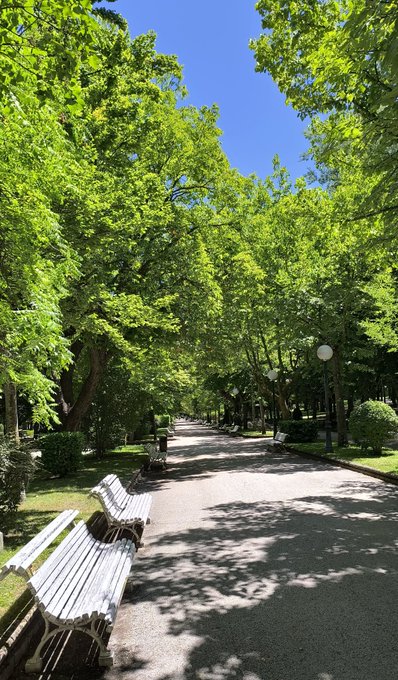A serene tree-lined pathway with benches stretches into the distance under bright sunshine, perfectly capturing the peaceful, joyful spirit of a "happy thursday frens" post.
