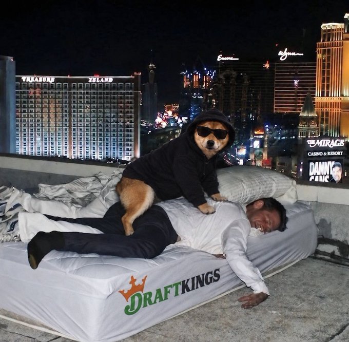 A dog wearing sunglasses and a black hoodie lounges on top of a man lying on a DraftKings-branded mattress on a Las Vegas rooftop, with the Treasure Island, Wynn, and Mirage casinos visible in the nighttime skyline behind them, capturing the "all in" gambling spirit of the post.