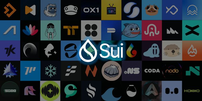 The image features a large grid of logos for various companies, including "Sui" and "network", all set against a black background with white text. The logos are arranged in rows and columns, creating a visually appealing pattern that highlights the diversity of the Sui Network community. The image also includes a caption below it, which reads: "GM @SuiNetwork Cheers to everyone building, creating, trading, validating and supporting the ecosystem across the entire Sui Network community".