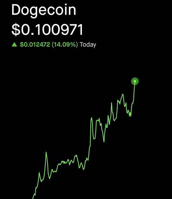 Mobile stock chart showing Dogecoin at $0.100971, up $0.012472 (14.09%) today, with a green upward-trending price line.