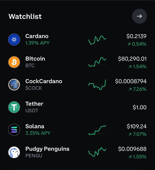 A cryptocurrency watchlist showing price gains for Bitcoin ($80,290.01, +1.54%), CockCardano ($COCK, +7.26%), Solana ($109.24, +7.07%), and Pudgy Penguins ($PENGU, +1.55%), while Cardano ($ADA at $0.2139) shows only a modest +0.54% increase—supporting the post's observation that ADA is lagging behind the broader market rally.