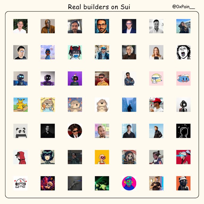 A grid titled 'Real builders on Sui' by '@0xPain__' displays numerous profile photos of various people and characters.