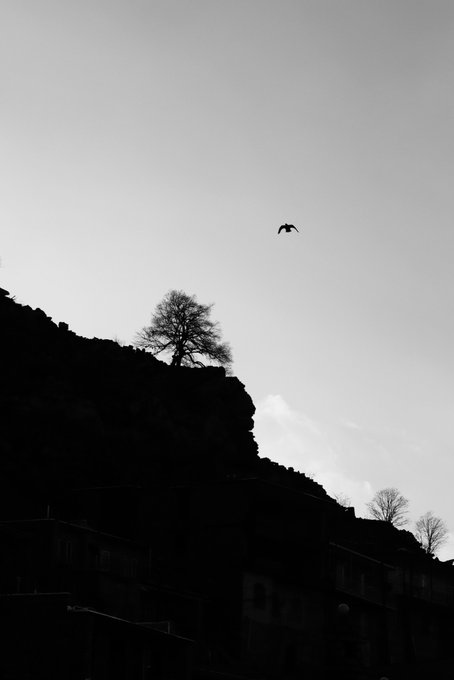 A high-contrast black-and-white photograph showing the dark silhouette of a rocky hill topped with a bare tree, with a single bird flying in the bright sky above.