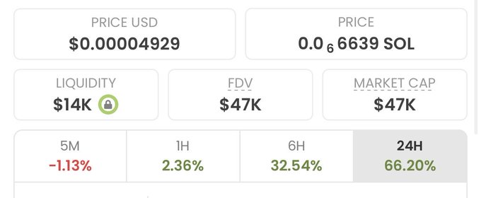 This image shows the trading data for a cryptocurrency, with a price of $0.00004929 and a 24-hour increase of 66.20%. This suggests the user is highlighting the recent success of another token before it experienced massive gains.