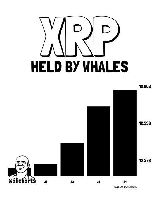 A bar chart titled "XRP HELD BY WHALES" from Ali Charts shows whale holdings of XRP increasing from 2021 to 2024, with values rising from approximately 12.37B to 12.80B tokens (per Santiment data), supporting the post's claim that XRP whales are actively accumulating the token.