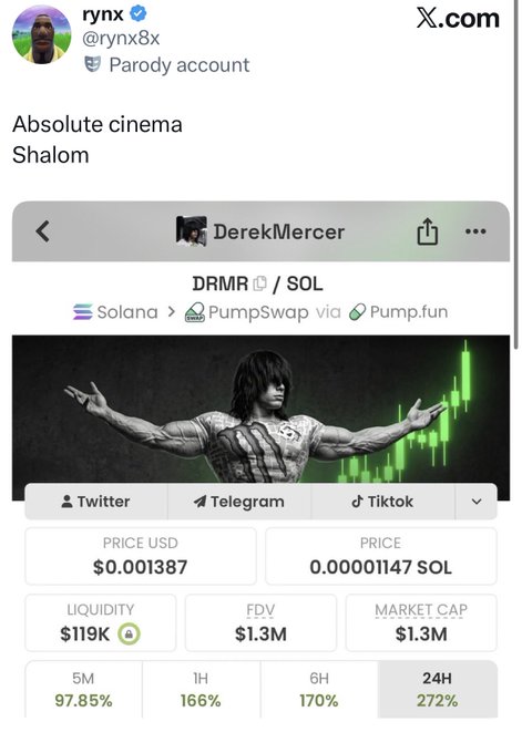 A screenshot of a social media post by user 'rynx' (@rynx8x) with text 'Absolute cinema Shalom' above a meme showing a muscular figure overlaid on a cryptocurrency trading chart for 'DRMR / SOL' on Solana PumpSwap, displaying various price metrics.
