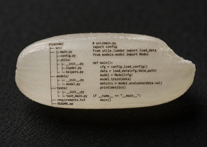 A white, oblong pill resting on a dark surface, overlaid with a Python project file structure (ricecode) and a 'src/main.py' script for a machine learning model.