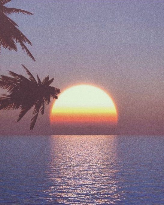 A serene sunrise over the ocean, framed by silhouetted palm fronds, with the glowing sun casting a warm golden reflection across the calm water — a peaceful "good morning" scene to greet the day.
