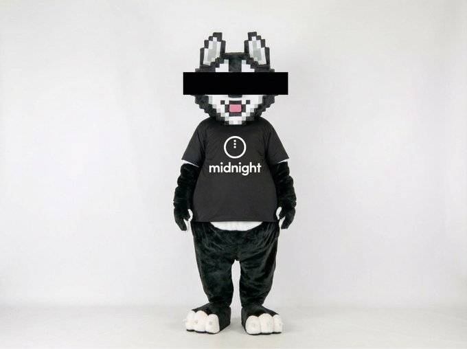 A person wears a full-body black and white mascot costume featuring a pixelated cat face, with the word 'midnight' printed on the chest.