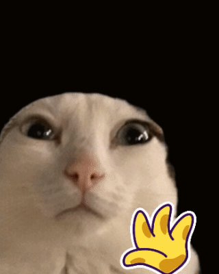 !!!WINK!!! cat's face with a yellow hand gesture, eyes wide open and mouth slightly open, against a black background.