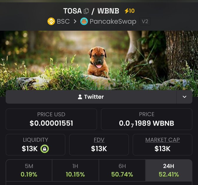 A cryptocurrency tracking page for the TOSA/WBNB token pair on PancakeSwap V2 (BSC), showing a puppy image, a price of $0.00001551, and 24H performance metrics.