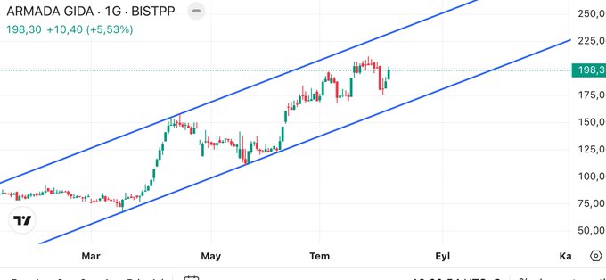 A stock chart for ARMADA GIDA (1G · BISTPP) showing a price of 198.30, up +10.40 (+5.53%), with candlestick patterns inside an ascending blue channel from March through September.