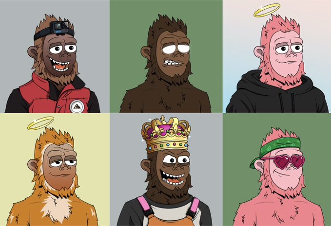 A grid of six cartoon monkey illustrations with various accessories and expressions, including a head-mounted camera, a halo, a crown, and heart-shaped sunglasses, rendered in different color palettes.