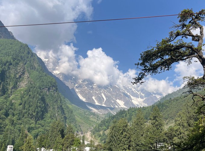 A sunny alpine valley with forested mountains, a tree in the foreground, clouds around the peaks, and a cable or wire crossing the sky.