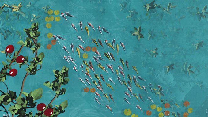 An overhead view of a large school of koi fish swimming in turquoise water alongside green foliage with red berries.