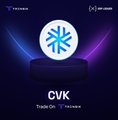 The image displays a promotional graphic for "CVK" by Trezor Q on the XRP Ledger, featuring a glowing snowflake icon. The accompanying announcement about the XRP Ledger enabling tokenized equities suggests that CVK (likely a tokenized stock of CVK Group Holding) has been added to the ledger's growing list of tokenized real-world assets.